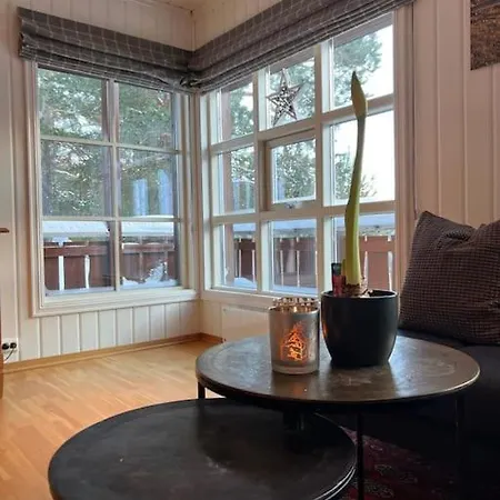 I Uvdal Med Nydelig Utsikt Apartment Sonstebo