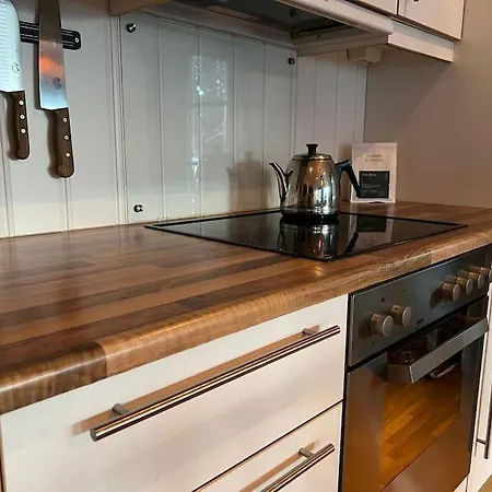 Apartment I Uvdal Med Nydelig Utsikt *